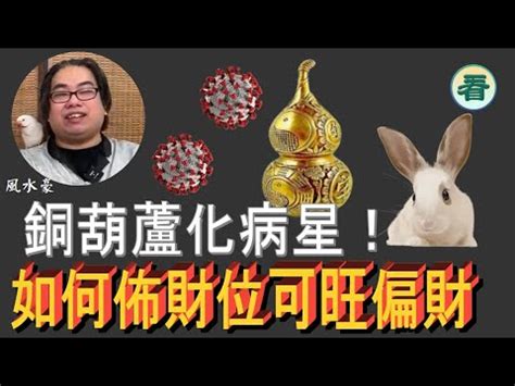 化病葫蘆2023|2023兔年家居風水佈局 龍師傅話你知！ 病位要點化。